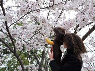 DSCN2561.jpg