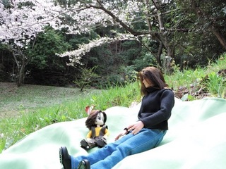 DSCN2618.jpg