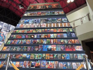 DSCN2938.jpg