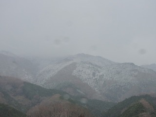 DSCN4192.jpg