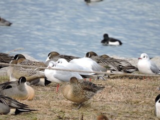 IMG_6592.jpg